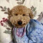 ヒメ日記 2026/02/28 08:38 投稿 あまね ドMな逆バニーちゃん　すすきの店