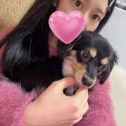 ヒメ日記 2024/12/21 09:16 投稿 あや ドMな逆バニーちゃん　すすきの店