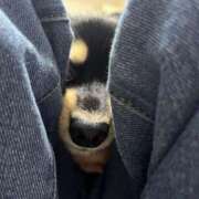 ヒメ日記 2025/01/22 03:16 投稿 あや ドMな逆バニーちゃん　すすきの店