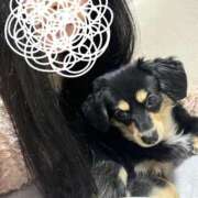 ヒメ日記 2025/02/15 02:26 投稿 あや ドMな逆バニーちゃん　すすきの店