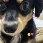 ヒメ日記 2025/02/18 23:36 投稿 あや ドMな逆バニーちゃん　すすきの店