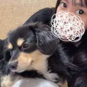 ヒメ日記 2025/02/26 18:04 投稿 あや ドMな逆バニーちゃん　すすきの店