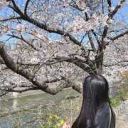 ヒメ日記 2025/04/03 20:06 投稿 あや ドMな逆バニーちゃん　すすきの店