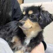 ヒメ日記 2025/05/04 19:56 投稿 あや ドMな逆バニーちゃん　すすきの店