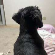 ヒメ日記 2025/06/22 20:46 投稿 あや ドMな逆バニーちゃん　すすきの店