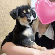 ヒメ日記 2025/06/23 07:06 投稿 あや ドMな逆バニーちゃん　すすきの店