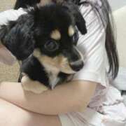 ヒメ日記 2025/06/29 19:26 投稿 あや ドMな逆バニーちゃん　すすきの店