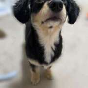 ヒメ日記 2025/07/31 22:06 投稿 あや ドMな逆バニーちゃん　すすきの店