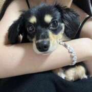 ヒメ日記 2025/08/02 00:15 投稿 あや ドMな逆バニーちゃん　すすきの店