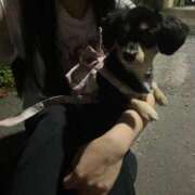 ヒメ日記 2025/08/02 23:49 投稿 あや ドMな逆バニーちゃん　すすきの店