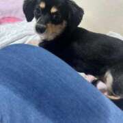 ヒメ日記 2025/08/04 17:46 投稿 あや ドMな逆バニーちゃん　すすきの店