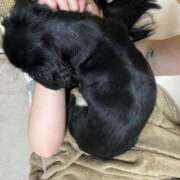 ヒメ日記 2025/08/12 22:06 投稿 あや ドMな逆バニーちゃん　すすきの店