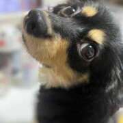 ヒメ日記 2025/08/14 18:46 投稿 あや ドMな逆バニーちゃん　すすきの店