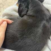 ヒメ日記 2025/08/25 09:24 投稿 あや ドMな逆バニーちゃん　すすきの店