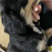 ヒメ日記 2025/08/29 11:06 投稿 あや ドMな逆バニーちゃん　すすきの店