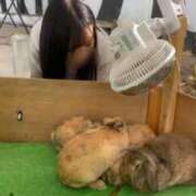 ヒメ日記 2025/09/03 18:44 投稿 あや ドMな逆バニーちゃん　すすきの店