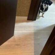 ヒメ日記 2025/09/24 19:26 投稿 あや ドMな逆バニーちゃん　すすきの店