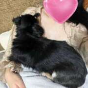 ヒメ日記 2025/11/04 22:46 投稿 あや ドMな逆バニーちゃん　すすきの店