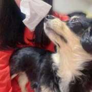 ヒメ日記 2025/11/26 02:16 投稿 あや ドMな逆バニーちゃん　すすきの店