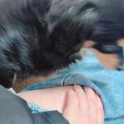 ヒメ日記 2026/02/26 17:16 投稿 あや ドMな逆バニーちゃん　すすきの店