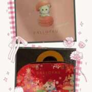 ヒメ日記 2024/12/25 15:02 投稿 しま みやこ