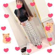 ヒメ日記 2024/12/31 07:41 投稿 しま みやこ