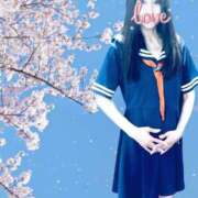 ヒメ日記 2025/03/16 05:10 投稿 しま みやこ