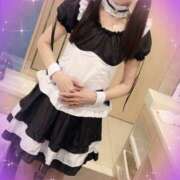 ヒメ日記 2025/05/19 18:28 投稿 しま みやこ