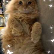 ヒメ日記 2025/08/23 22:00 投稿 しま みやこ