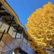 しま お久しぶりです。 みやこ