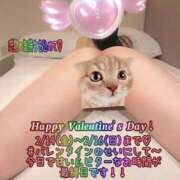 ヒメ日記 2025/02/17 14:26 投稿 まこと 奥様さくら日本橋店