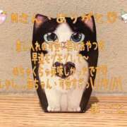 ヒメ日記 2025/02/24 11:30 投稿 まこと 奥様さくら日本橋店