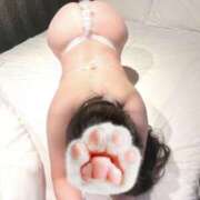 ヒメ日記 2025/02/26 11:18 投稿 まこと 奥様さくら日本橋店