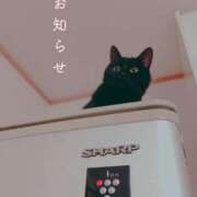 ヒメ日記 2025/06/17 14:06 投稿 まこと 奥様さくら日本橋店