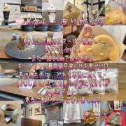 ヒメ日記 2025/06/19 10:16 投稿 まこと 奥様さくら日本橋店