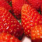 ヒメ日記 2025/12/02 18:41 投稿 まこと 奥様さくら日本橋店