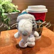 ヒメ日記 2025/12/06 09:23 投稿 まこと 奥様さくら日本橋店