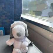 ヒメ日記 2025/12/07 09:32 投稿 まこと 奥様さくら日本橋店