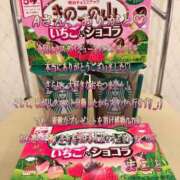 ヒメ日記 2026/01/28 02:56 投稿 まこと 奥様さくら日本橋店