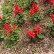 ヒメ日記 2025/05/13 10:48 投稿 こう 奥様さくら日本橋店