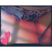 ヒメ日記 2025/11/26 09:23 投稿 こう 奥様さくら日本橋店