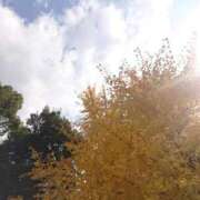 ヒメ日記 2025/12/03 19:47 投稿 こう 奥様さくら日本橋店