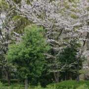 ヒメ日記 2026/04/08 09:47 投稿 こう 奥様さくら日本橋店