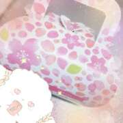 ヒメ日記 2025/04/25 16:20 投稿 まこ 奥様さくら日本橋店