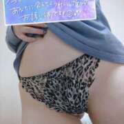 ヒメ日記 2025/03/16 12:18 投稿 あお 奥様さくら日本橋店