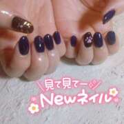 ヒメ日記 2025/06/03 11:26 投稿 あお 奥様さくら日本橋店