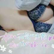 ヒメ日記 2025/11/05 14:45 投稿 あお 奥様さくら日本橋店