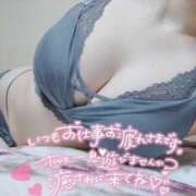 ヒメ日記 2025/11/30 11:46 投稿 あお 奥様さくら日本橋店