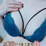 ヒメ日記 2026/02/26 15:36 投稿 あお 奥様さくら日本橋店