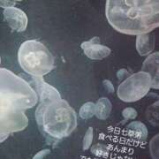 ヒメ日記 2025/01/08 11:33 投稿 めろ 奥様さくら日本橋店